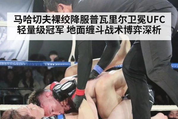 马哈切夫裸绞降服普瓦里尔卫冕UFC轻量级冠军 地面缠斗战术博弈深析